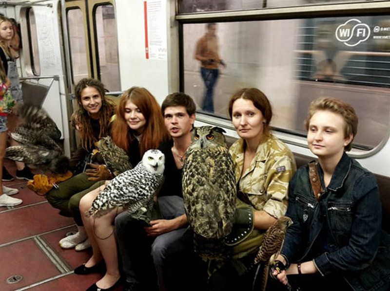 В метро Москвы 