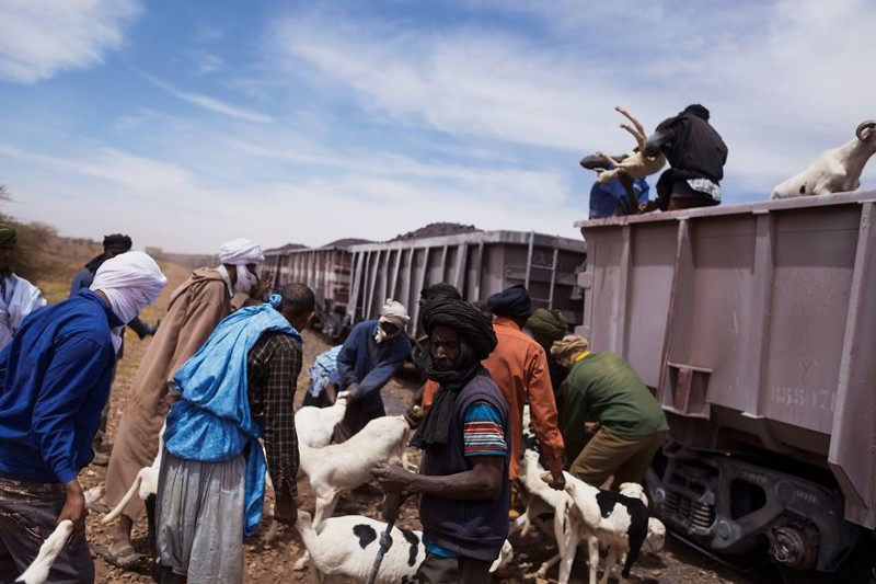 Безумное путешествие через Сахару с овцами и железной рудой