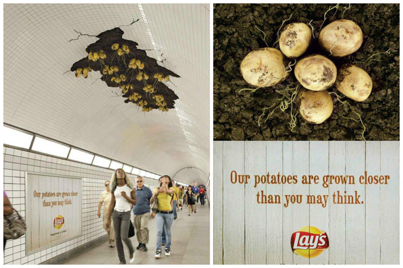 Картошка, везде картошка