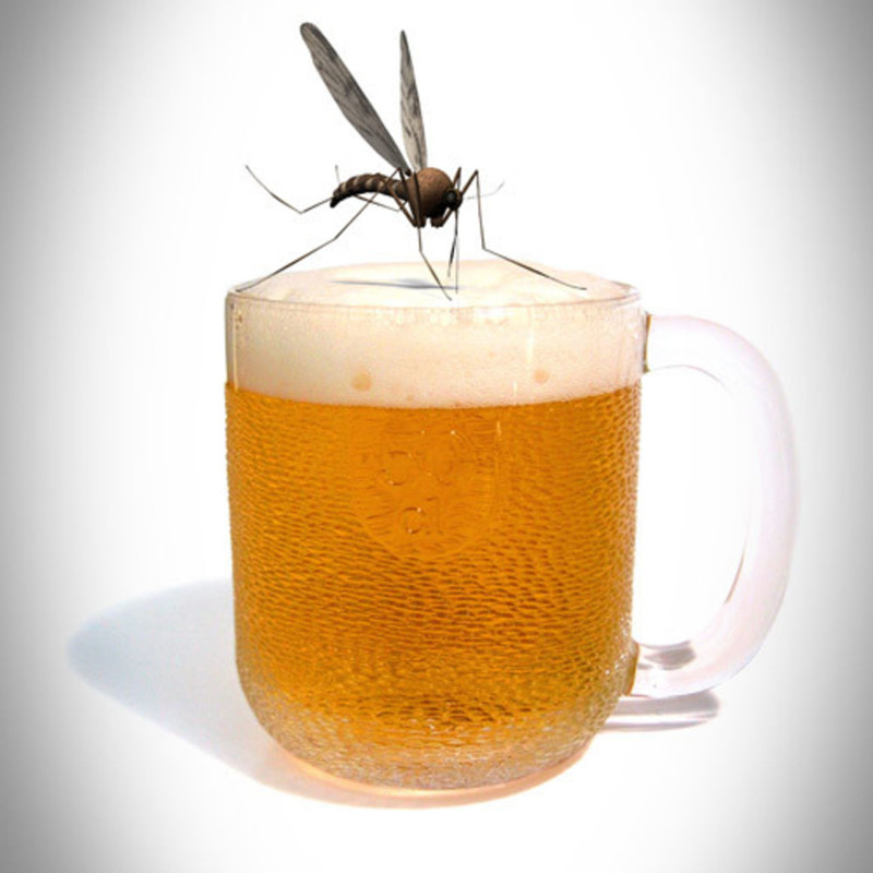 Во время одного из исследований ученые обнаружили, что люди, которые пили пиво, нравились комарам больше, чем их трезвые коллеги  