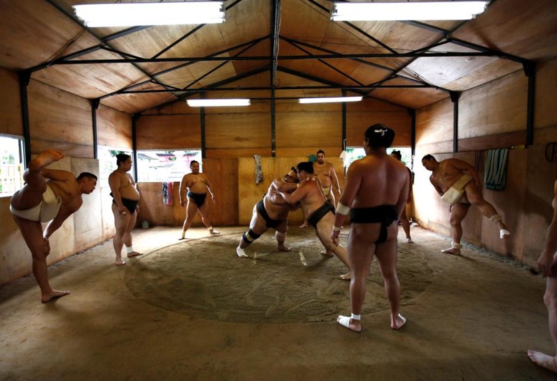 Площадка для борьбы сумо представляет собой квадратный помост в 34—60 см высотой, называемый дохё.