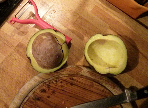 Большой и  наглый авокало 