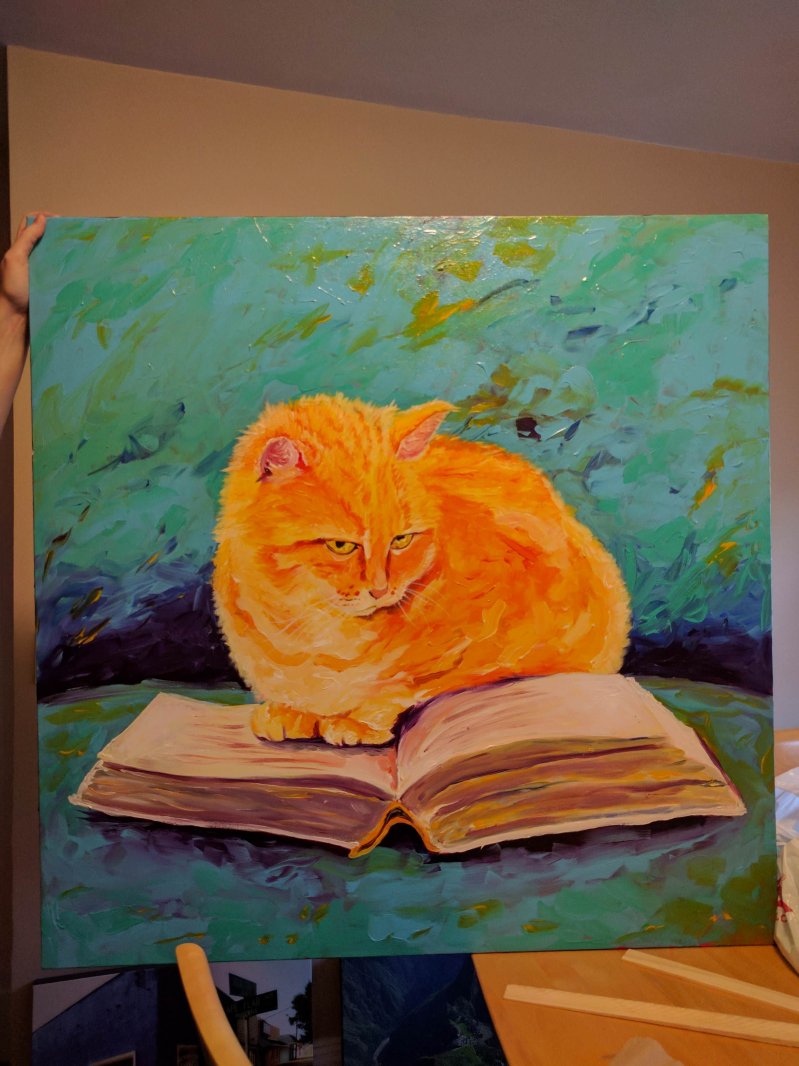 Кот за чтением 