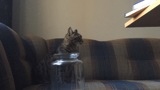 В комнате кто-то есть