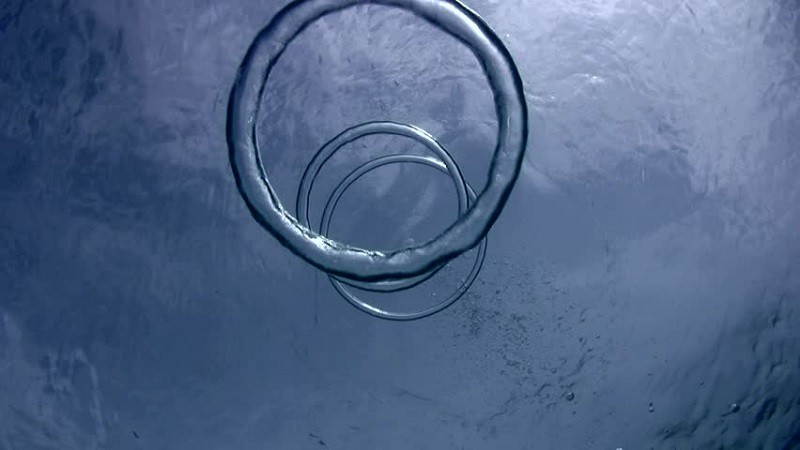 Кольцо в воде
