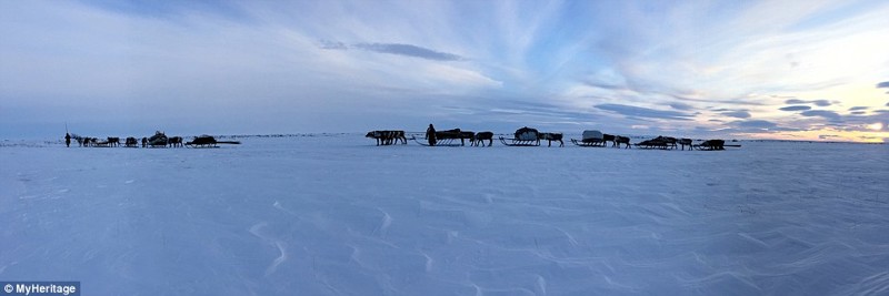 Ненецкие пастухи меняют места своих стоянок в зависимости от сезона года