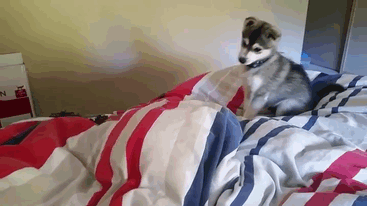 "Я проснулся и не поверил своим глазам!". часть I "Я проснулся и не поверил своим глазам!". часть I