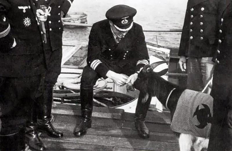 Леманн–Вилленброк кормит козла в попоне с эмблемой 9–й флотилии, 1944 год, Брест, Франция