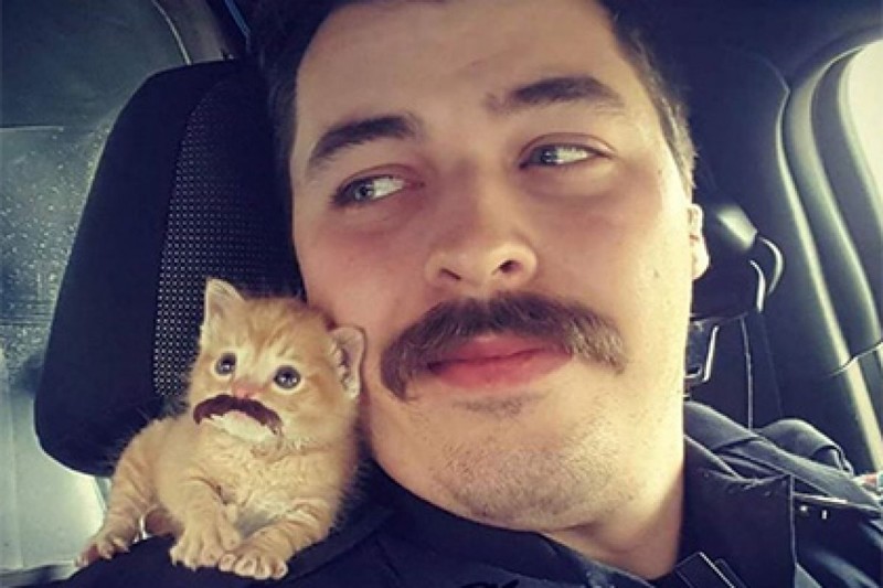 Он спас этого котенка, и теперь котёнок всегда с ним! 