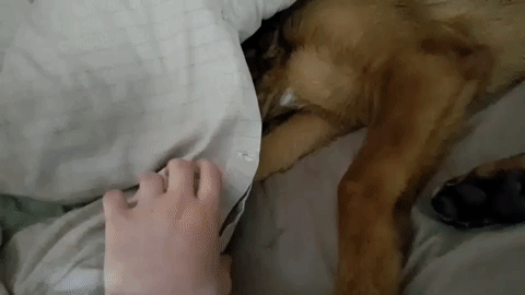 Когда совсем неохота вставать