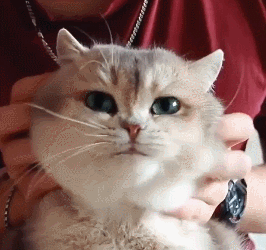 Сеанс массажа