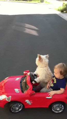 Подборка автомобильных гифок