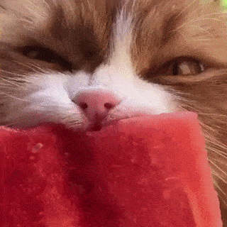 Сочный арбузик