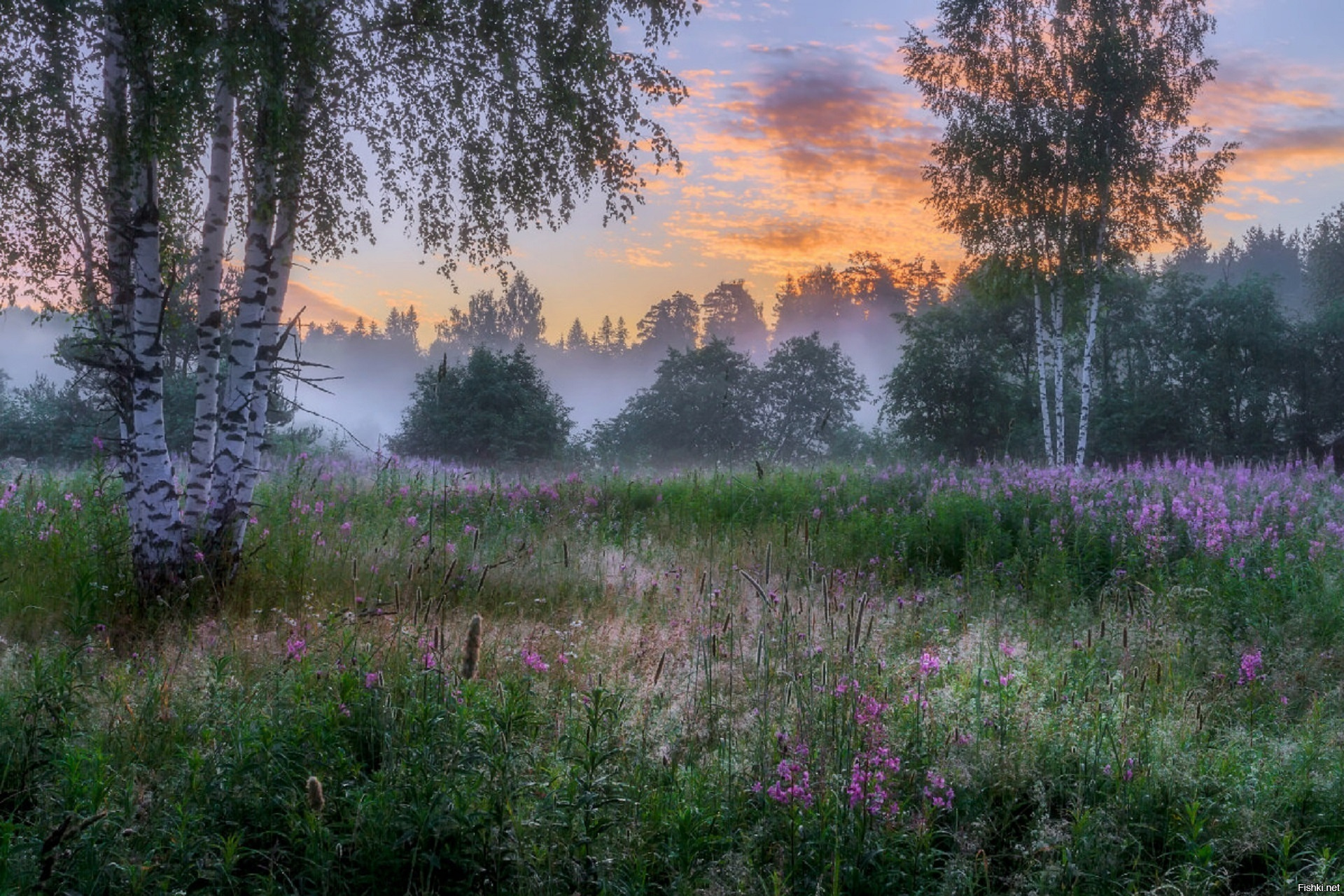 Это было красивое утро. Красота русской природы. Пейзажи России. Летний пейзаж. Красивая русская природа.
