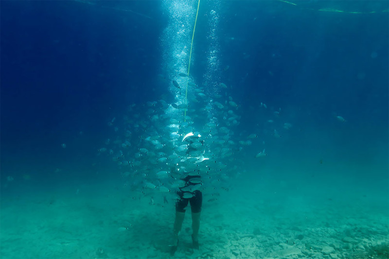 Уникальные чудеса подводного парка в Хорватии, по которому можно гулять пешком