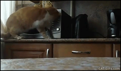 Что-то разогрел себе к обеду