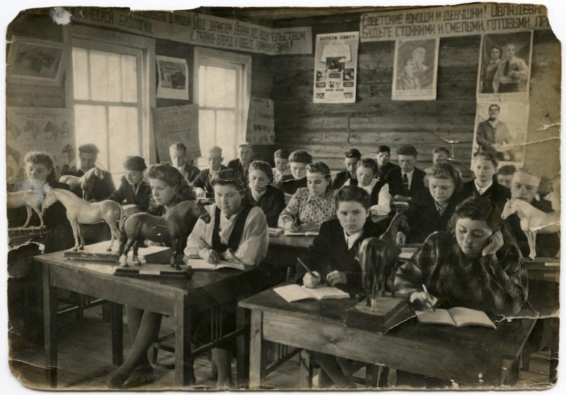 Классные занятия в группе коневодства, 1930–е годы, СССР.