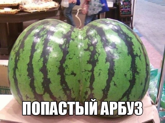 Смешные картинки с надписями