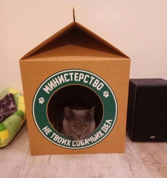 Очередная порция картинок с подписями