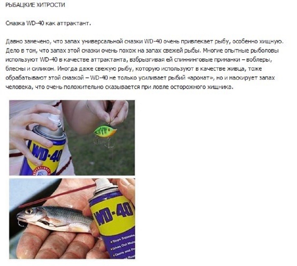 Операционная система виндовс плюсы и минусы. Какой запах для кошек самый противный. Какой запах нравится котам. Запах привлекающий ос. Какие запахи влияют на человека.