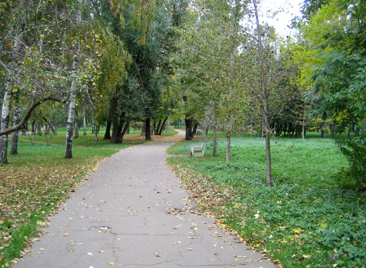 Московский роща. Парк Березовая роща. Народный парк Березовая роща Москва. Парк Березовая роща Ховрино. Парк Березовая роща на Полежаевской.