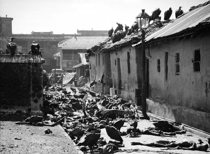 80 Последствия "Дня прямого действия" в Калькутте, когда жертвами межрелигиозных столкновений стали 4000 человек за 72 часа, 1946 год.