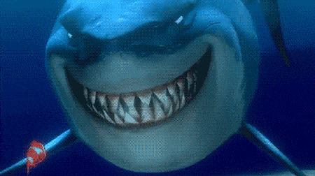 У акул постоянно растут новые зубы - до 30000 в течение всей жизни