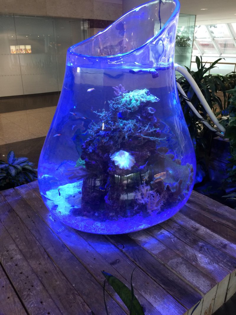 Оригинальный аквариум 