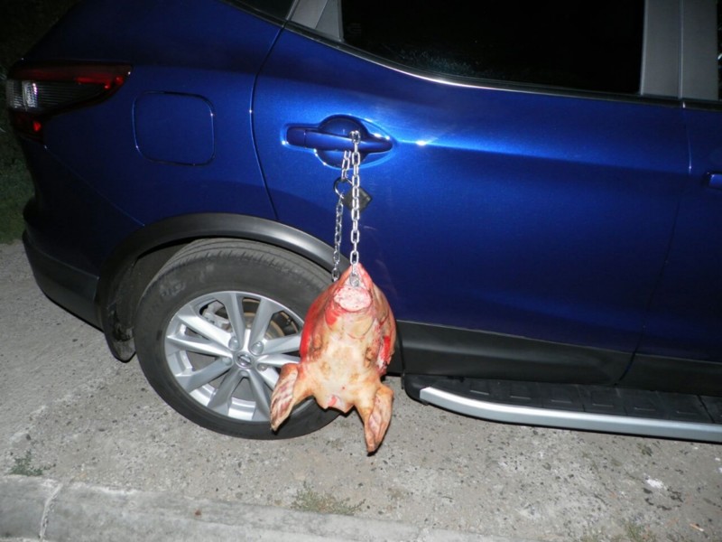 Хозяйке Nissan в Чебоксарах подложили свинью