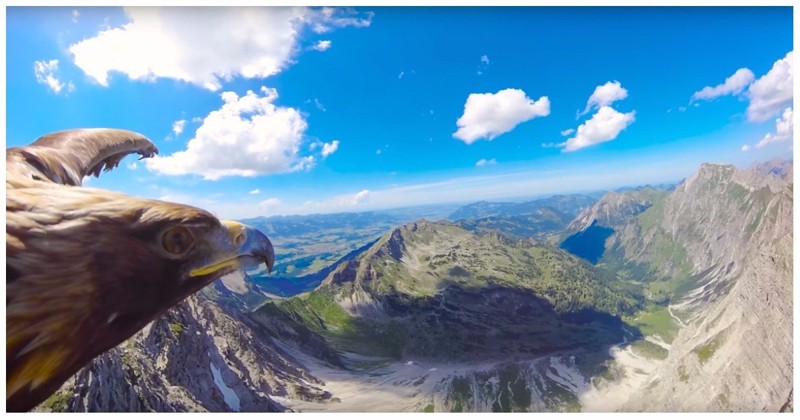Настоящая свобода: как выглядят Альпы глазами орла