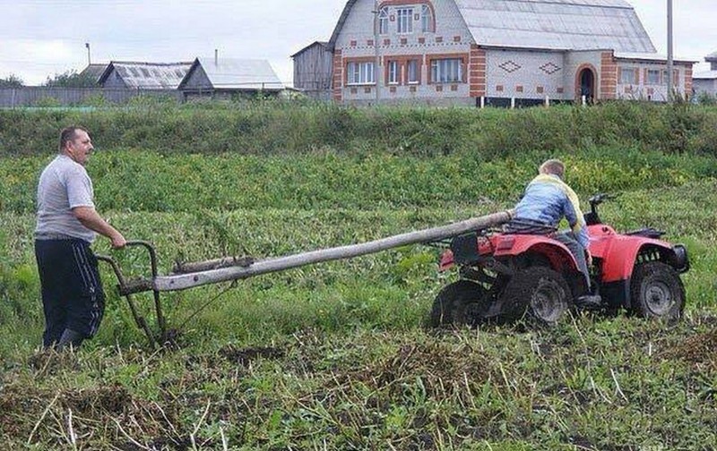 Сельский колорит: технологии будущего в российских деревнях