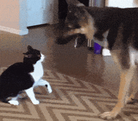 Сменил гнев на милость