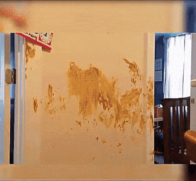 Юный художник