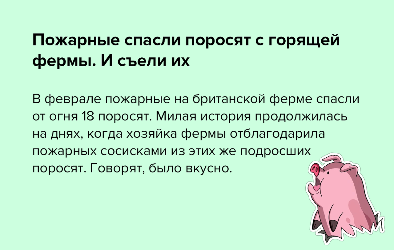 Мил история. Милый рассказ. Милые рассказы. Пожарные спасают поросят. Милые истории.