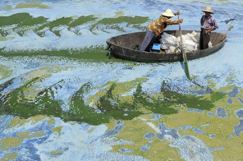 Загрязненное озеро, Китай 