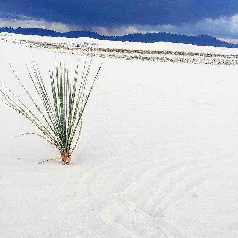 Национальный памятник "Белые Пески", Нью-Мексико, США