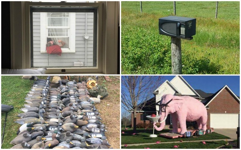 Когда с соседями - не соскучишься: 35 фото-историй
