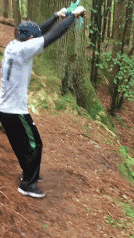 Гифки дня Гифки дня