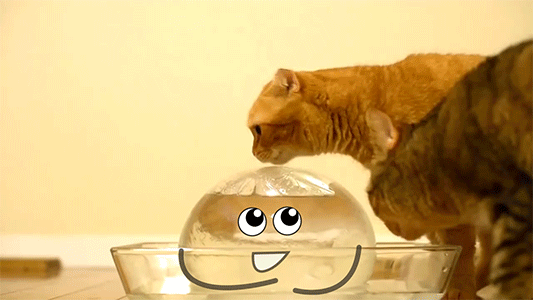 Гифки дня Гифки дня