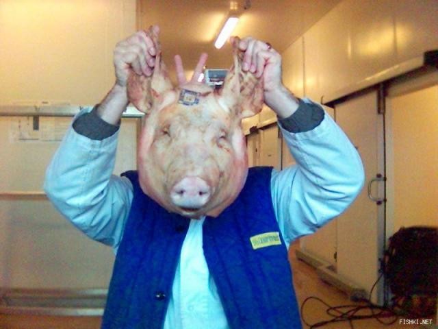 Пересадка органов свиней будет исправлением для людей, считают эксперты