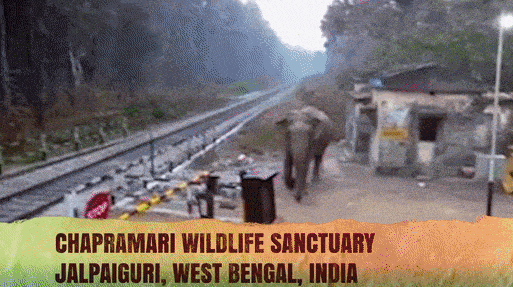 По всем правилам