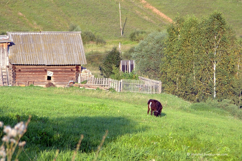 Деревни марий эл фото