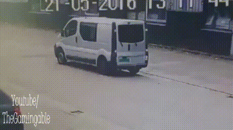 Слона-то и не заметила