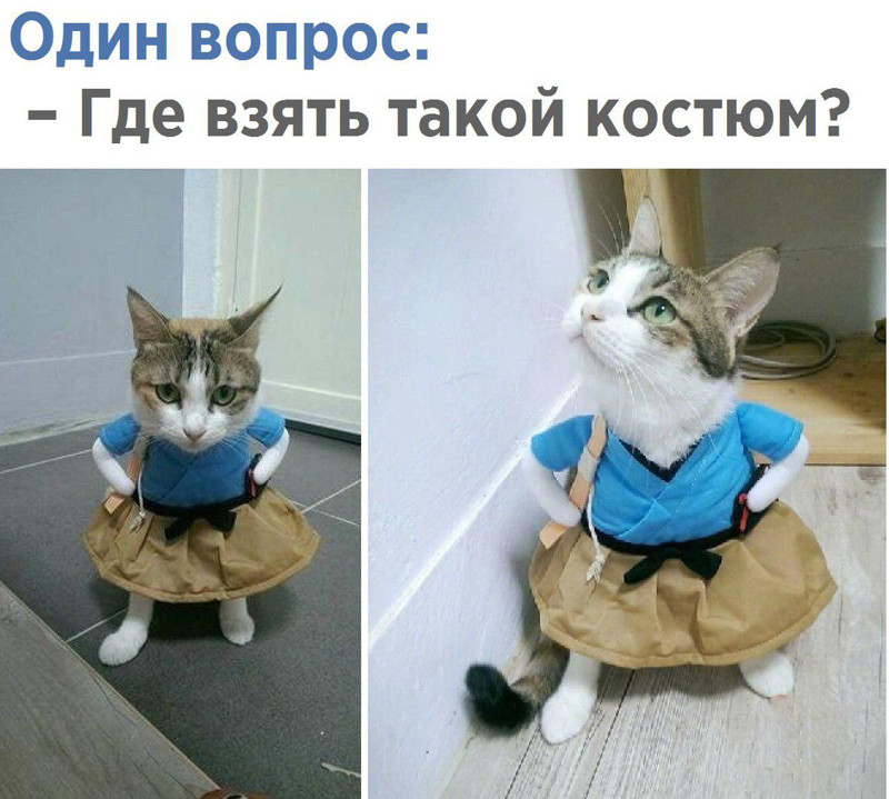 Смешное из Соцсетей