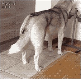 -Нет, ты будешь со мной играть