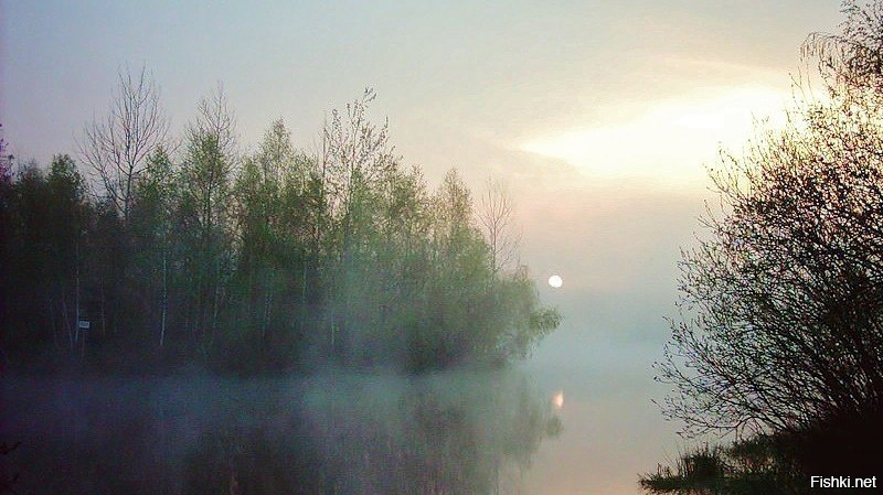 Стихотворение забелелся туман над рекой. Фёдор Сологуб Забелелся туман за рекой. Забелелся туман над рекой Сологуб. Забелелся туман за рекой.