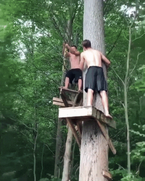 Слабоумие и отвага