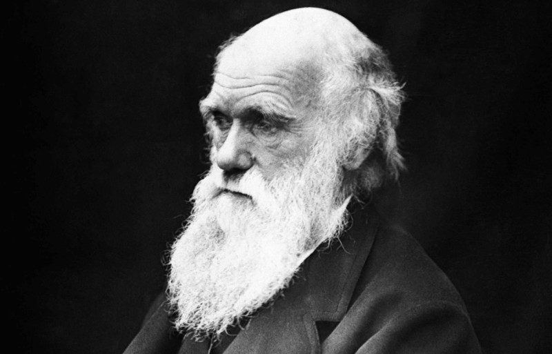 «Происхождение видов»  Чарльз Дарвин первая публикация: 24 ноября 1859, Англия