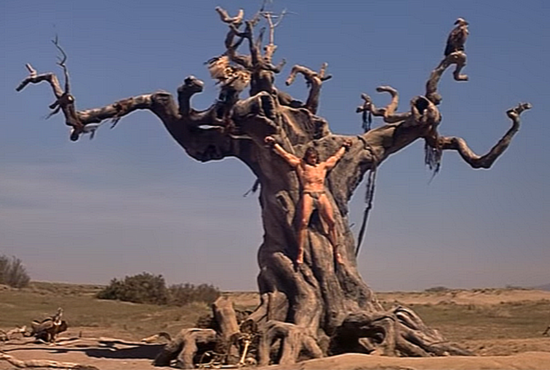 Старая старая сказка: "Конан-варвар" 1982 года (Conan The Barbarian)