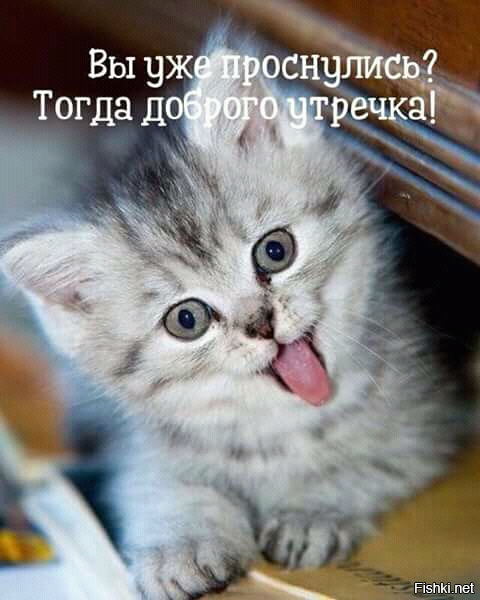кисе с добрым утром уже